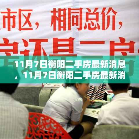 11月7日衡阳二手房最新消息获取全攻略,初学者与进阶用户必读