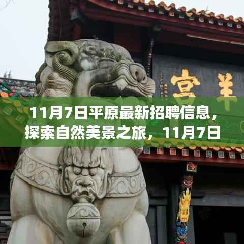 11月7日平原招聘探索自然美景之旅,寻找内心的宁静与平和的新职位