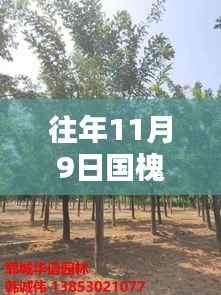 眉开眼笑 第9页