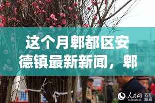 九死一生 第11页