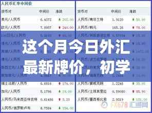 本月外汇最新牌价概览,初学者与进阶用户的查询步骤指南