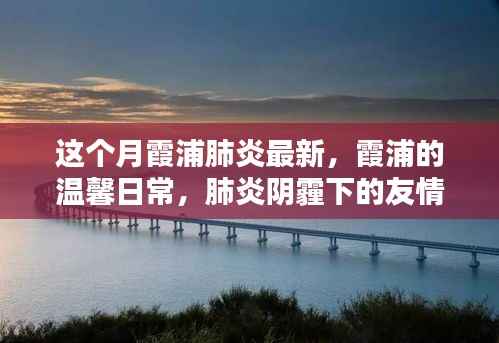 霞浦肺炎最新动态,温馨日常与友情陪伴