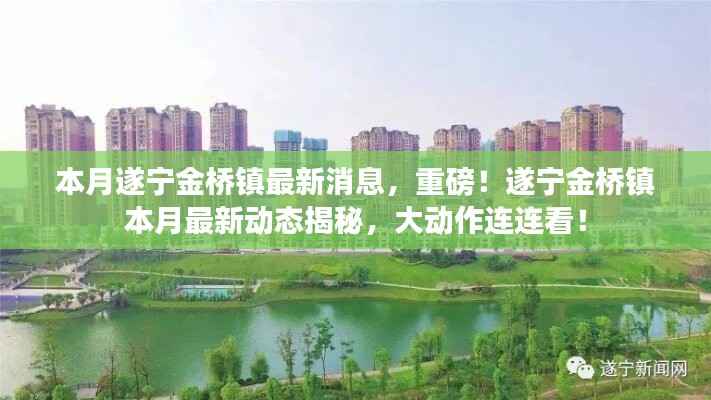 遂宁金桥镇本月最新动态揭秘,重磅消息与大动作连连看!