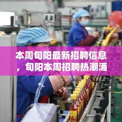 旬阳本周招聘热潮,新机遇引领就业风向,最新招聘信息一览无余