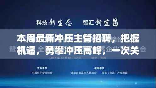 冲压高峰成长之旅，最新冲压主管招聘启事，自信与机遇的双重召唤