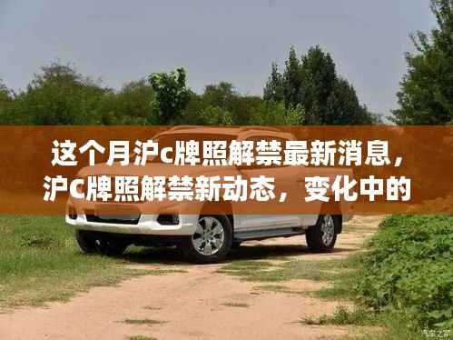 沪C牌照解禁新动态,机遇与挑战并存,自信成就未来之路