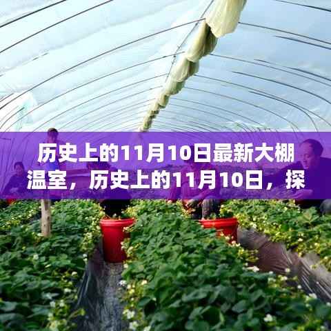 手舞足蹈 第8页