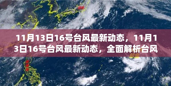 11月13日台风最新动态,全面解析台风进展与影响