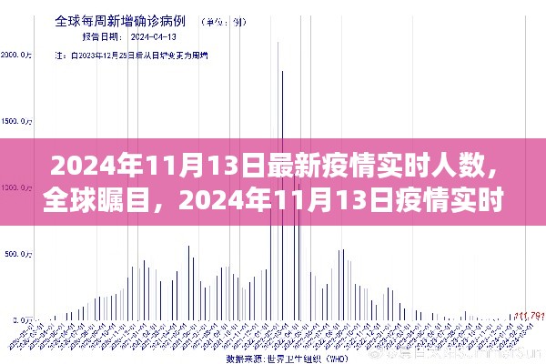 全球瞩目!2024年11月13日疫情实时人数报告与回顾