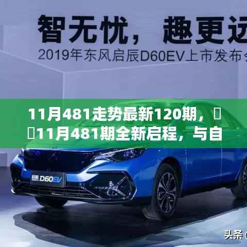 11月481期全新启程,与自然共舞,探索内心宁静港湾的最新走势
