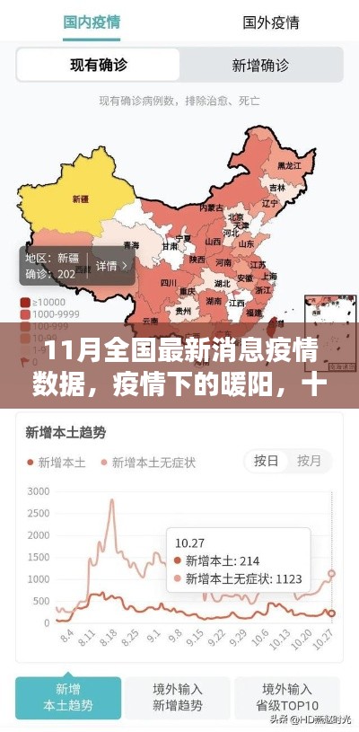 11月疫情数据下的暖阳,与共度日常