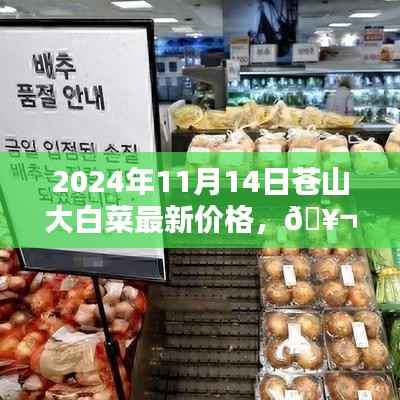 揭秘!苍山白菜之王——大白菜最新价格出炉!