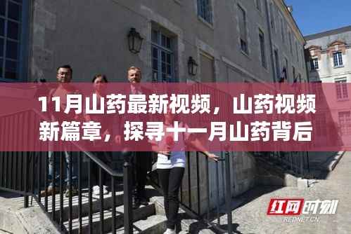 探寻十一月山药背后的故事与影响力，山药视频新篇章揭秘！