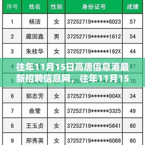 往年11月15日高唐信息港招聘全览,最新职业机会一网集结