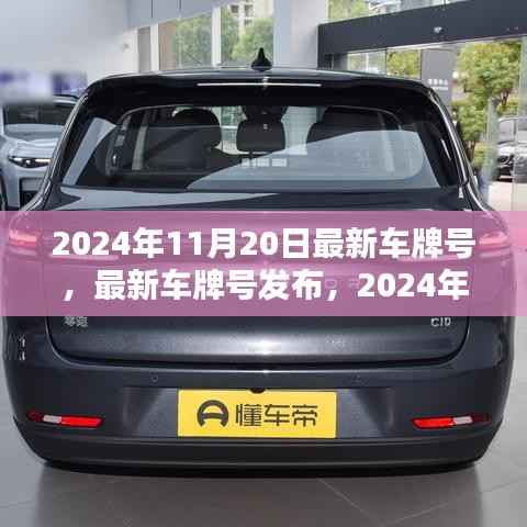 最新车牌号发布,2024年11月20日的思考及车牌号一览