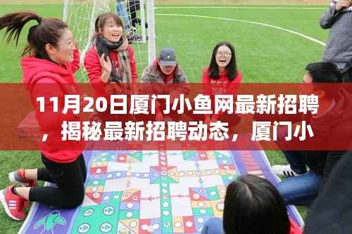 厦门小鱼网11月20日最新招聘热点揭秘