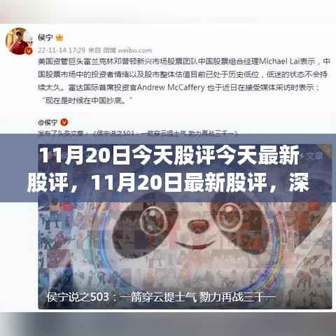 深度解析市场走势与投资机会，最新股评报告揭示投资机会