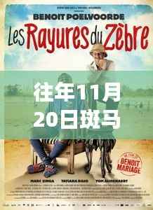 往年11月20日斑马街电影文化深度探讨,放映与现象观察