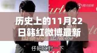 历史上的11月22日韩红微博最新,历史上的11月22日,韩红微博的最新动态概览