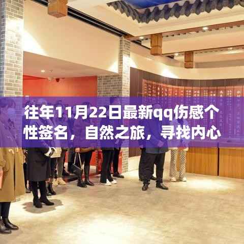 往年11月22日最新qq伤感个性签名,自然之旅,寻找内心的宁静港湾——一个QQ伤感签名背后的故事