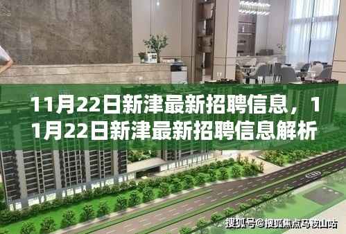 11月22日新津最新招聘信息,11月22日新津最新招聘信息解析及求职策略建议