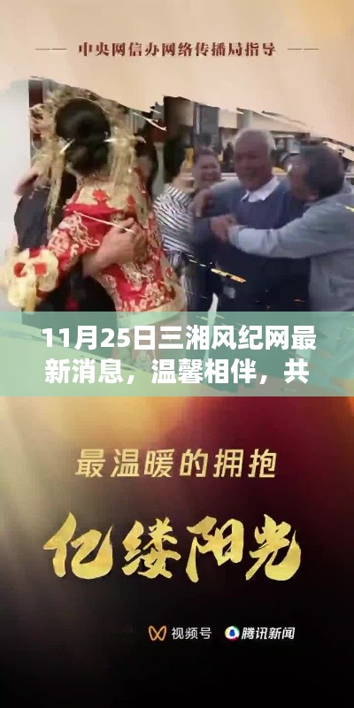 走马观花 第6页
