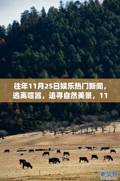 11月25日娱乐新闻启示,逃离喧嚣,追寻自然美景的旅行启示之旅