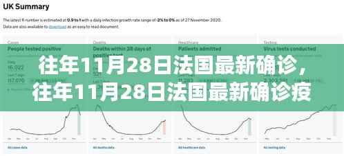 往年11月28日法国最新确诊,往年11月28日法国最新确诊疫情分析,观点阐述与深度解读