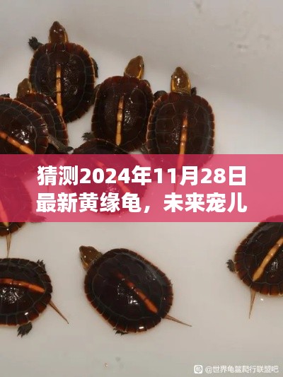 科技巨献揭秘,未来宠儿黄缘龟智能版,重塑生活体验新篇章(猜测版)