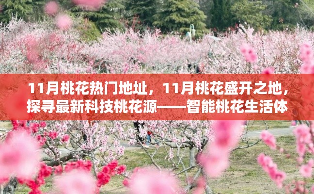 探寻智能桃花生活体验机,揭秘十一月桃花盛开之地的科技桃花源