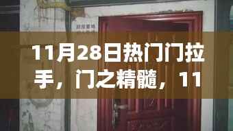 11月28日热门门拉手，门之精髓，11月28日热门拉手背后的故事与影响