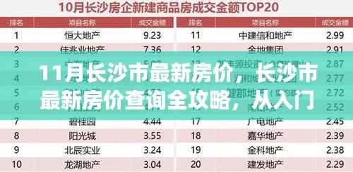 长沙市最新房价指南，从入门到精通，11月房价查询全攻略