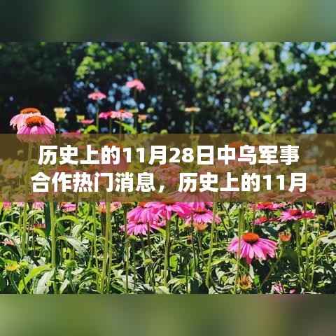 历史上的11月28日,中乌军事合作的深度之旅与心灵碰撞