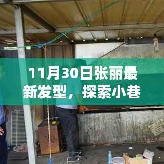 张丽新发型揭秘,小巷深处的特色小店探索之旅