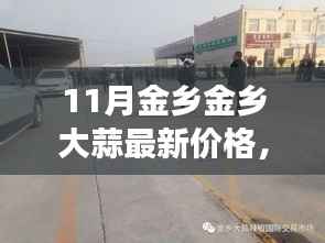 11月金乡大蒜最新价格及市场走势多元观点探讨