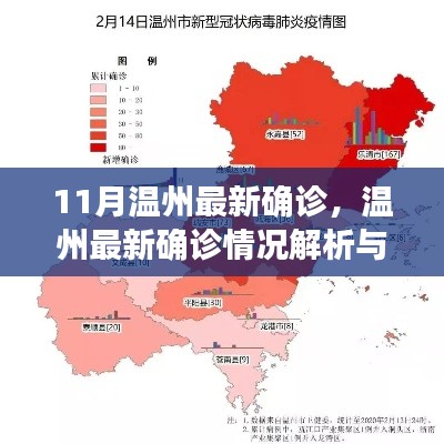 温州最新确诊情况解析与应对指南,11月疫情发展报告(初学者与进阶用户必备)