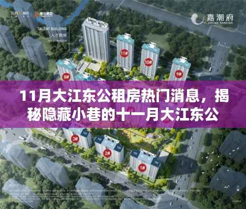 11月大江东公租房热门消息,揭秘隐藏小巷的十一月大江东公租房特色小店,独特环境等你来探索!