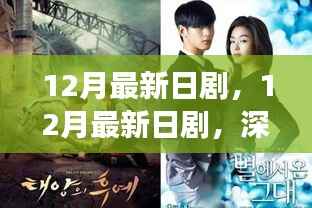 深度解析,最新日剧魅力与争议,12月最新日剧综述