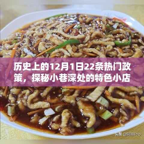 探秘历史热门政策日,十二月一日的热门政策与小巷深处的特色小店回顾