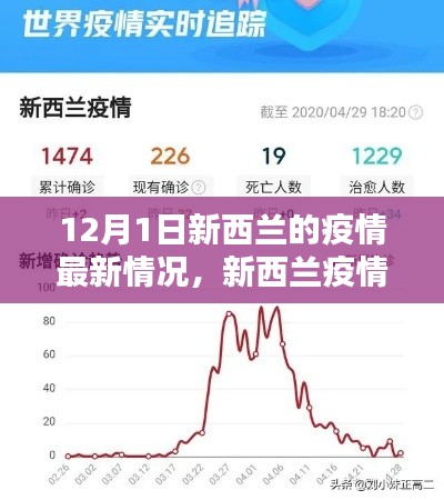 新西兰疫情动态更新,曙光与挑战并存,12月最新报告解读