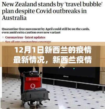 新西兰疫情动态更新,曙光与挑战并存,12月最新报告解读