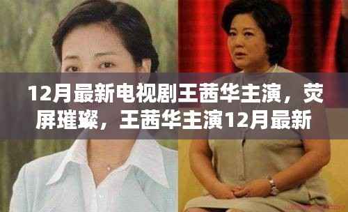 王茜华主演12月最新电视剧全解析,荧屏璀璨之旅