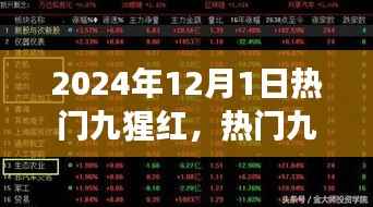 深度解析与观点阐述,热门九猩红现象在2024年12月1日的盛行