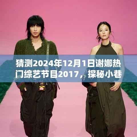 探秘小巷深处的独特魅力,谢娜综艺节目背后的隐藏小店与未来综艺节目展望(2024年最新预测)
