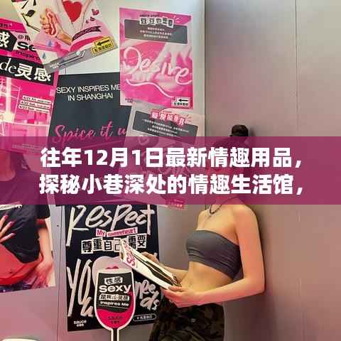 探秘小巷深处的情趣生活馆,揭秘最新情趣用品潮流盛宴