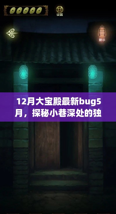 揭秘,十二月大宝殿Bug背后的神秘小巷美食店探索之旅