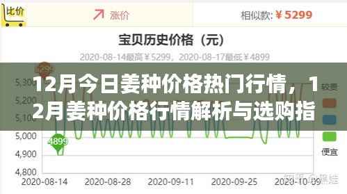 12月今日姜种价格热门行情,12月姜种价格行情解析与选购指南