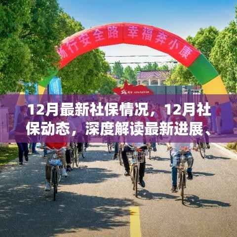 深度解读,12月社保最新动态及影响与时代地位
