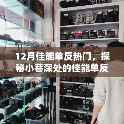 探秘十二月佳能单反宝藏店,热门相机潮流与小巷深处的宝藏探秘