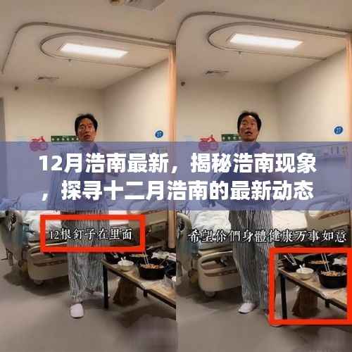 12月浩南最新,揭秘浩南现象,探寻十二月浩南的最新动态与成就